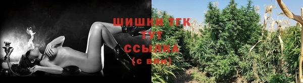 тгк Абдулино