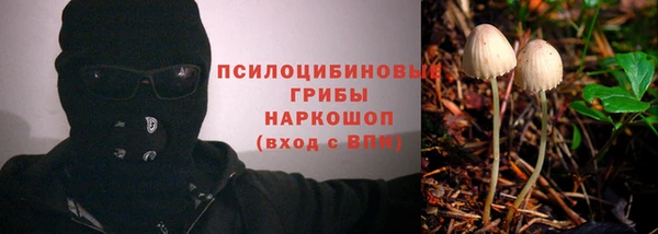 тгк Абдулино