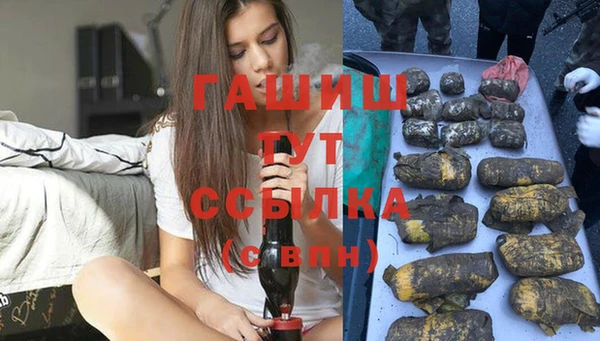 твердый Абаза
