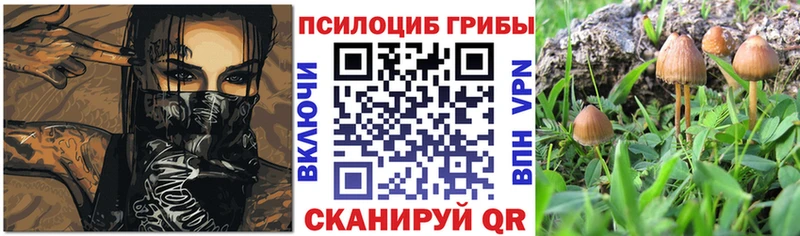 Псилоцибиновые грибы Magic Shrooms  Ковдор 