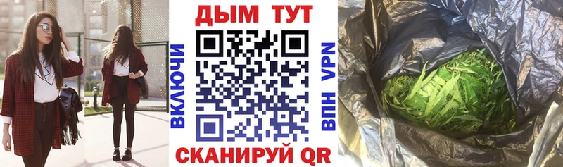 магазин    Ковдор  Шишки марихуана план 